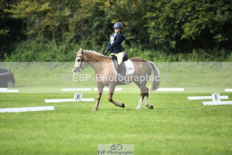 230826-102352-15460 - Sections C & D 10 to End