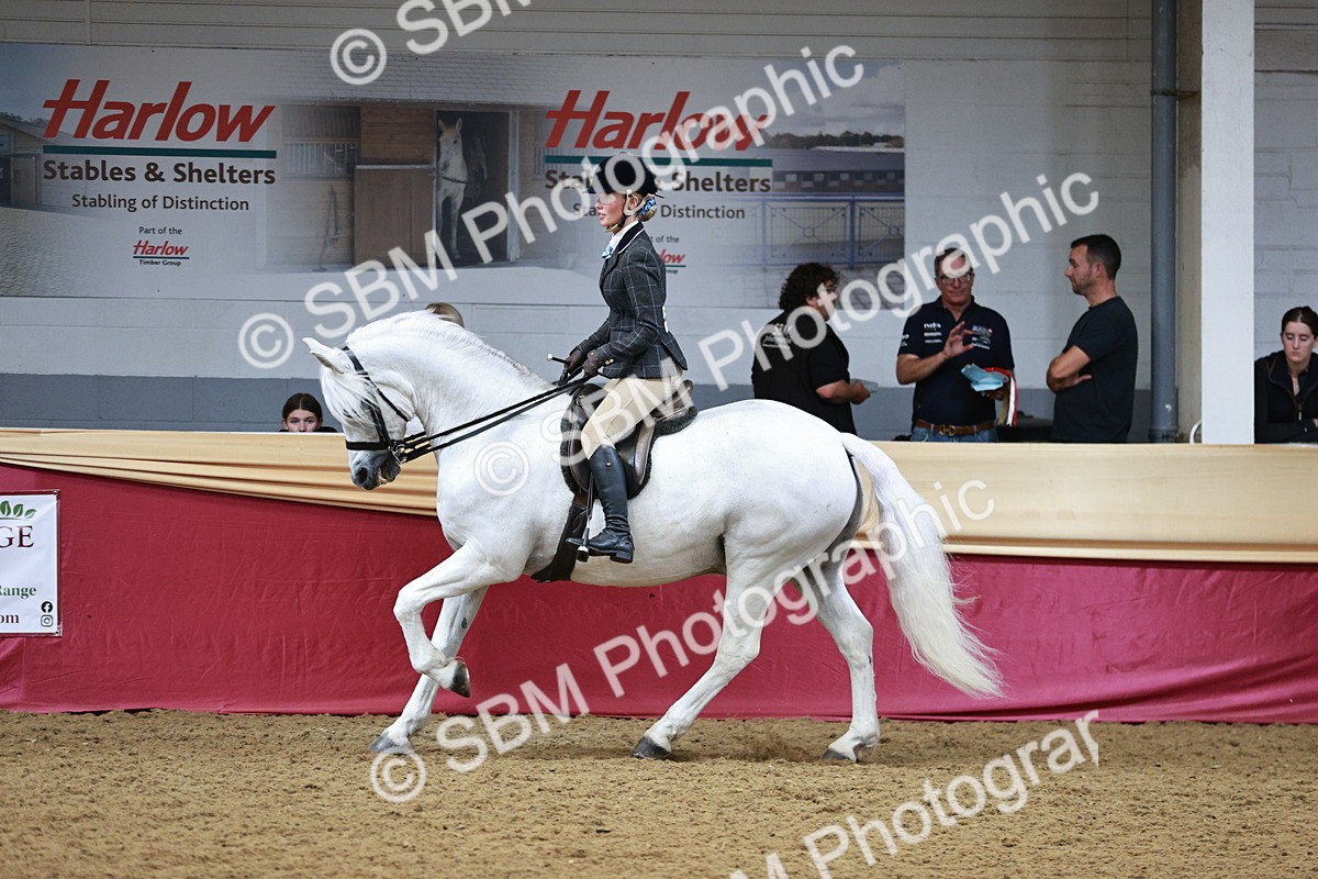 SBM_03638 - Class 6A Area Ridden Pre-Vet
