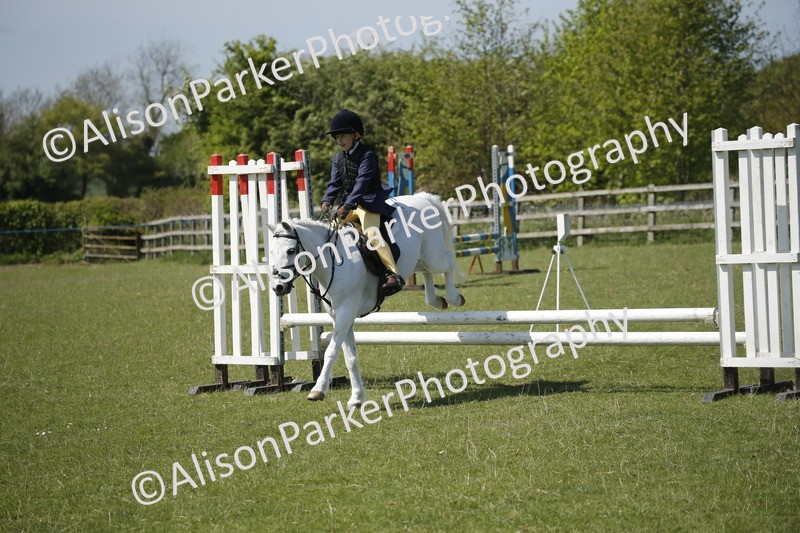 20250427-2303 - Class 13 - Novice Jumping 60cm