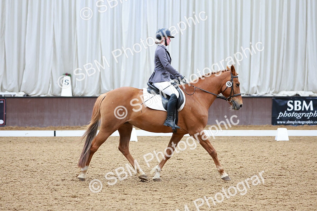 SBM_000953 - Class 12 - Novice 2
