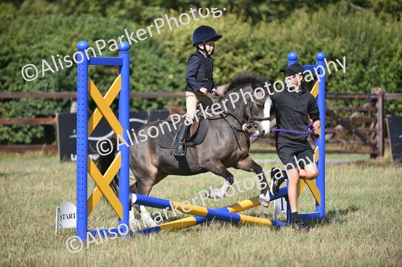 20260906-1422 - Class 8 - Hoof and Foot