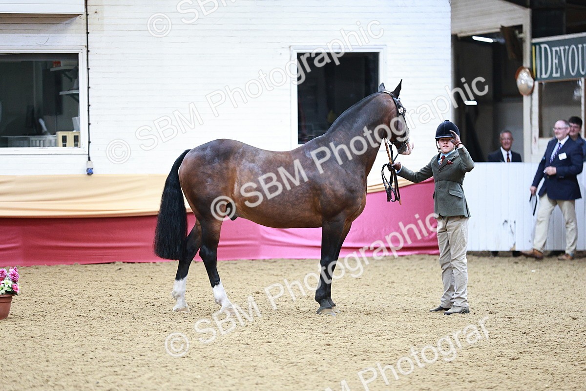 SBM_01168 - Class 3A - Area IH Pre-Vet