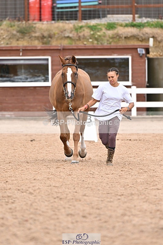 250716-162537-02626 - Trot Up 3.30 to 4.30