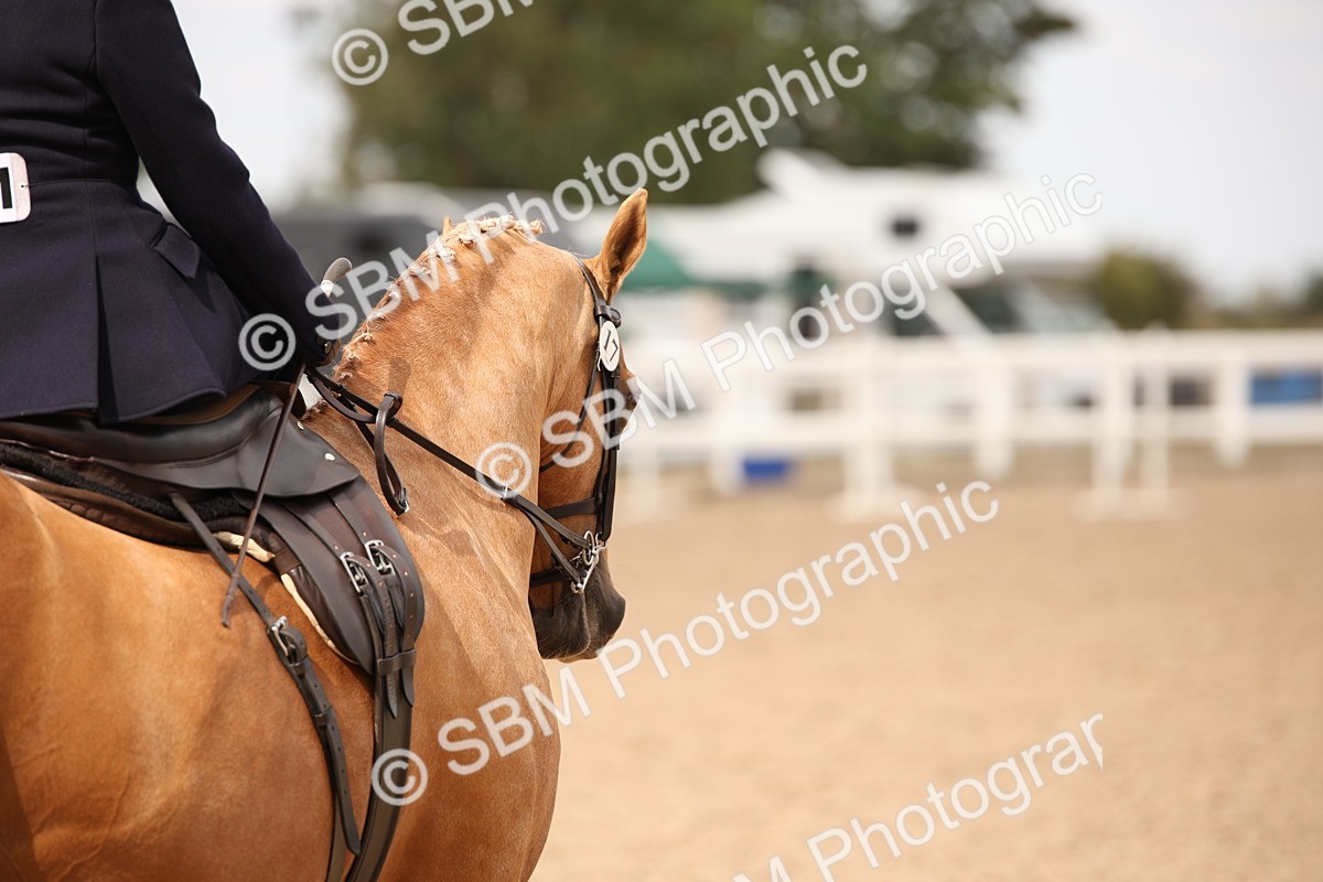 SBM_05430 - Class 22 SSA Equitation