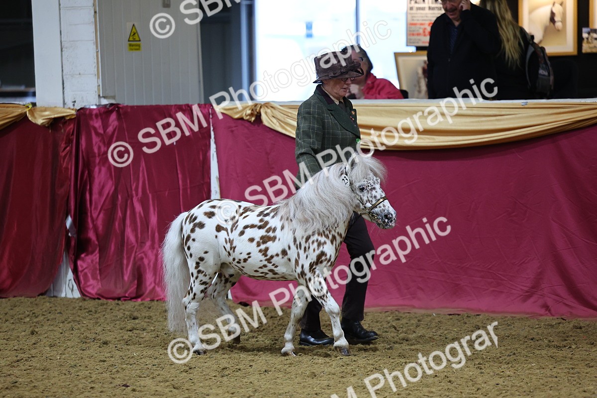 SBM_20754 - Class 902 - Supreme Final IH Veteran