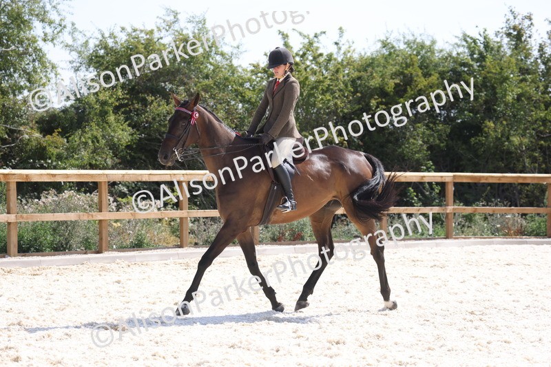 20260802-0752 - Class 8 - Best Riding Horse or Pony