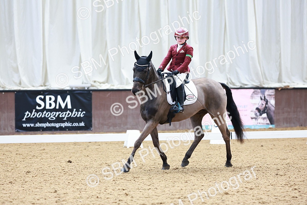 0B8A3882 - Class 3-6-9 - Prel Nov Ele - FSM