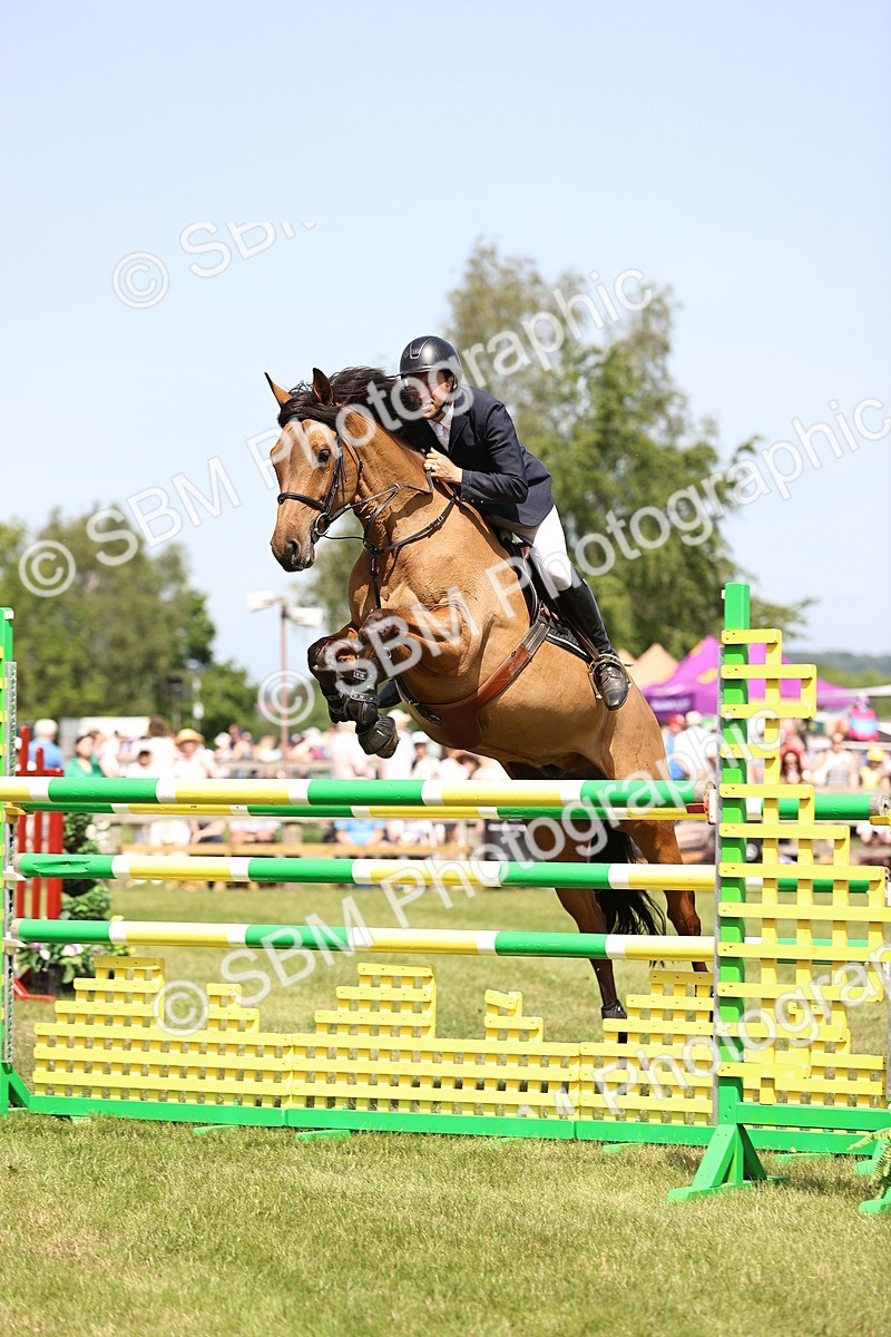SBM_04015 - Class 201 - British Horse Feedds Speedi Beet HOYS Grade C