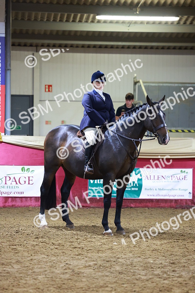 SBM_15719 - Class T - Working Veteran Champ