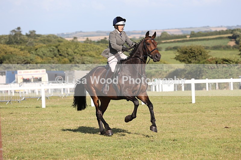 JPP_3119 - Class 21: Working Hunter 80cm