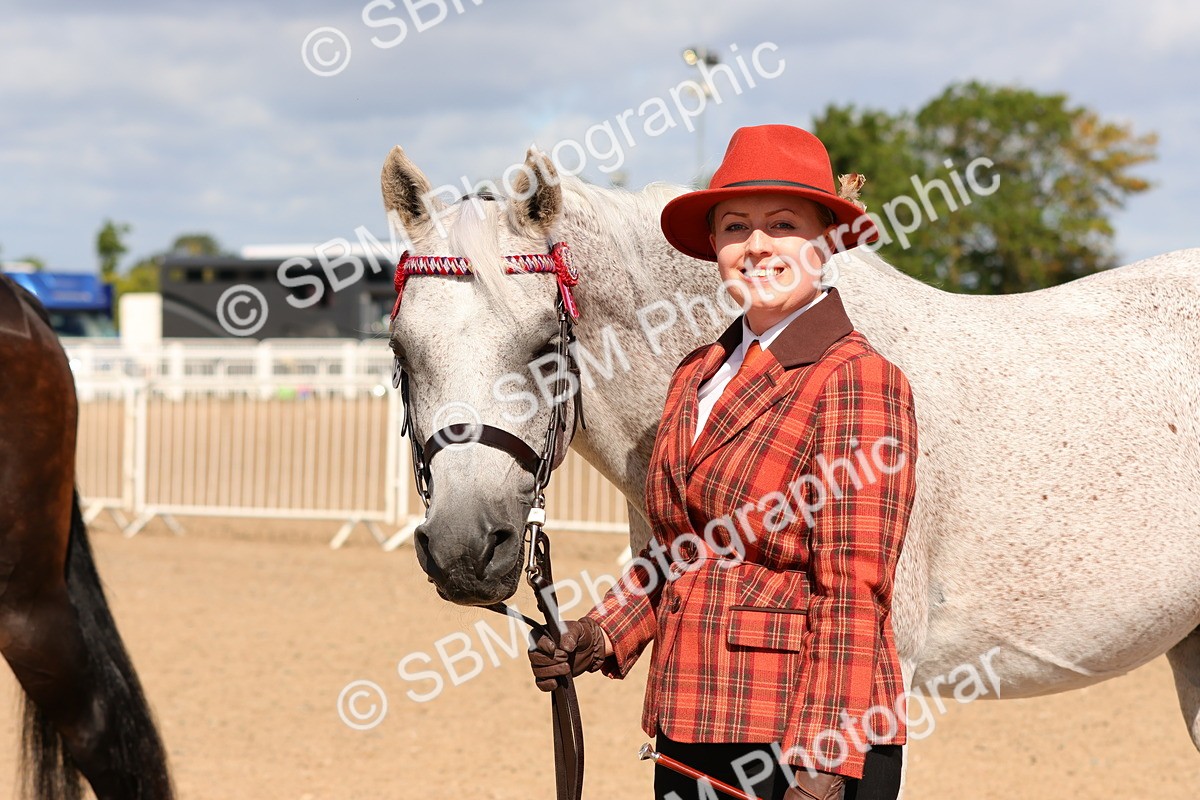 SBM_11732 - Class 208 - IH Veteran Horse