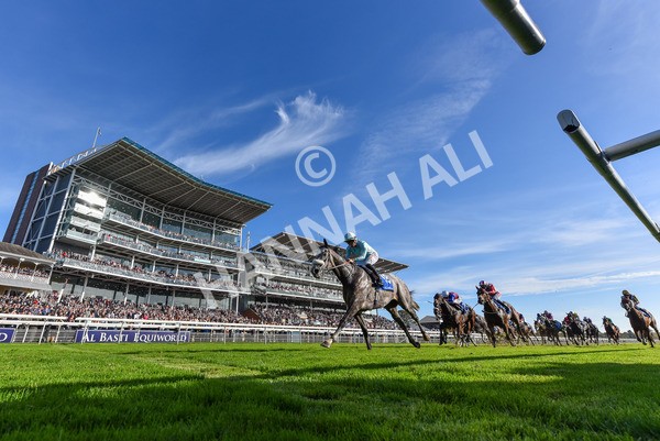 111025-Race 4-Binhareer-2056 - Race 4 Coral Sprint Trophy Handicap at York