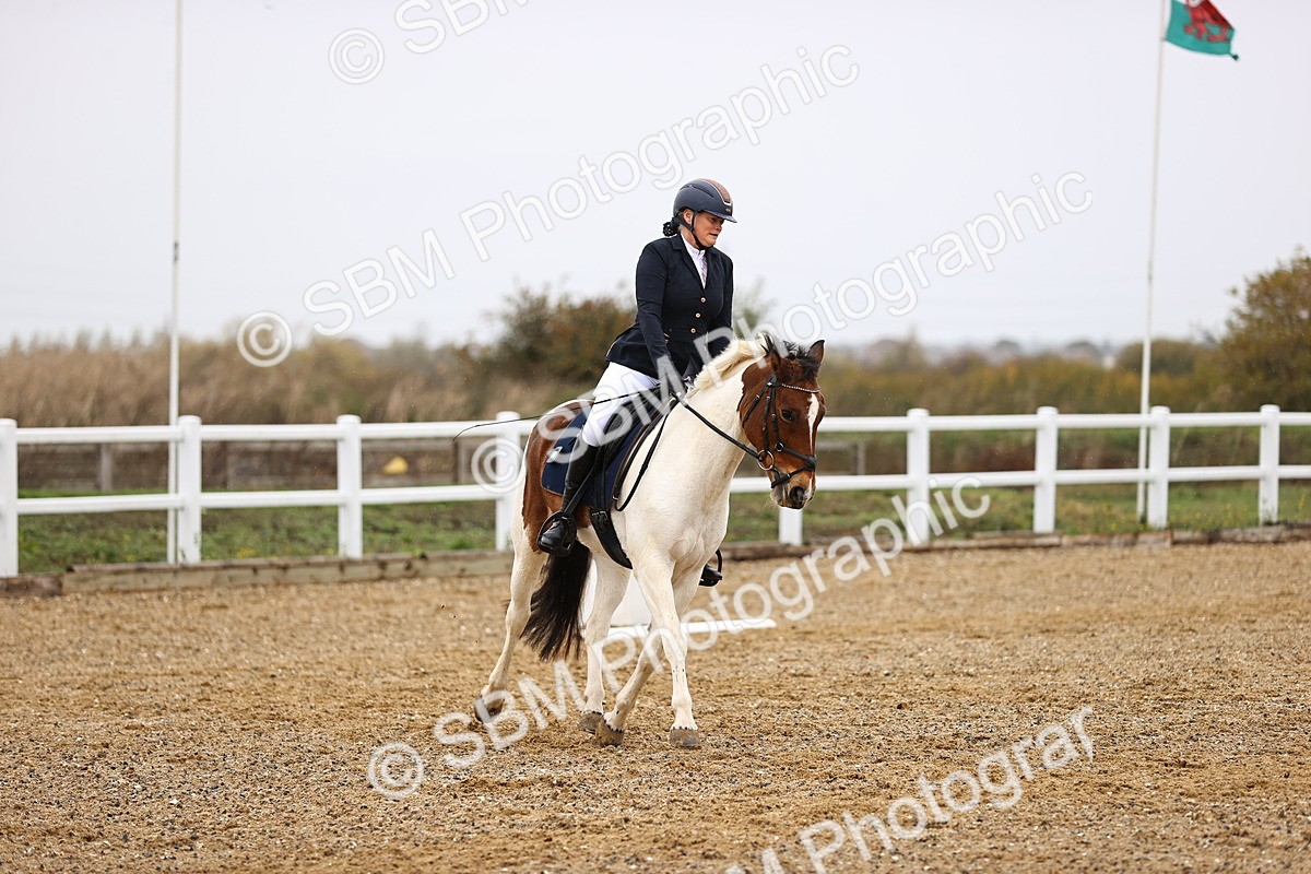 SBM_000796 - Novice 2