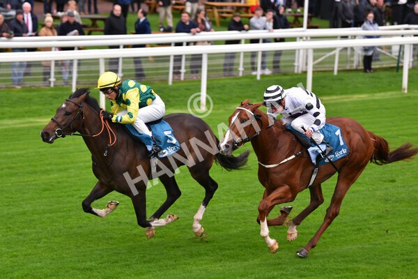 yr07102022r1-18 - Race 1 2.05pm Parsonage Hotel and Cloisters Spa Stakes