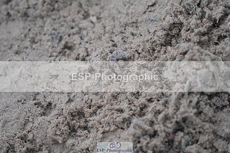 251107-130311-01050 - Cls 6 Foxhunter and 1.20m Open