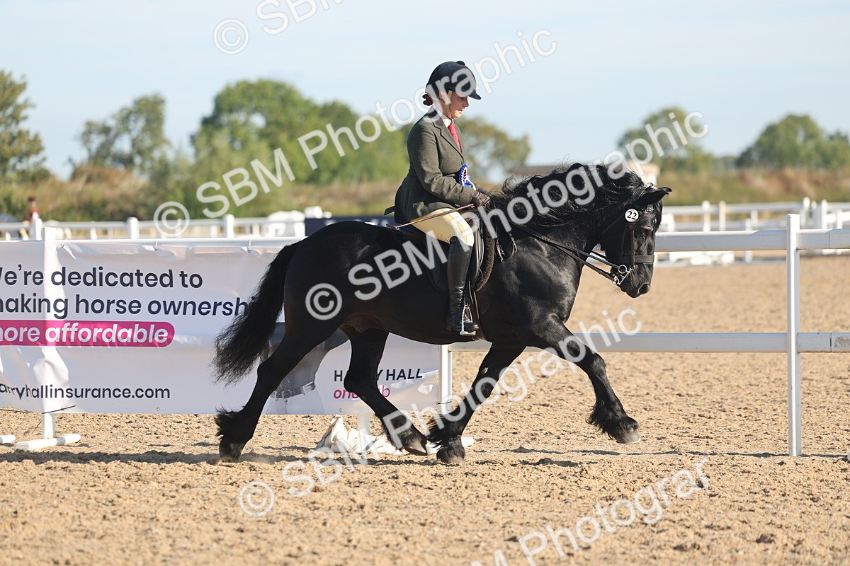 SBM_11146 - Class 302 - Ridden M&M Large Breeds