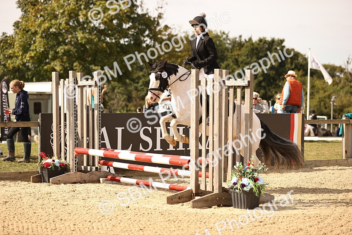 SBM_66975 - J13 - Junior Pony 60cm Championship