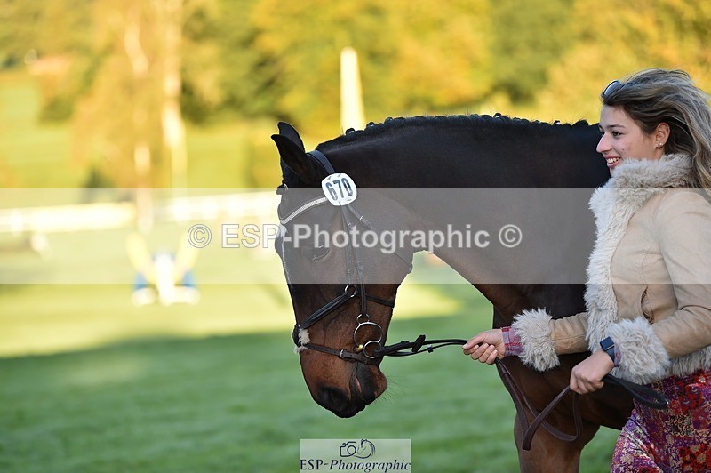 231022-084508-21334 - 670-SEEK.INDI-Maia.Ramasamy-TrotUp+SJ