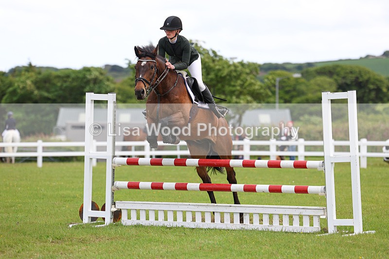 3E7A7788 - Class 13: Senior British Novice/90cm open