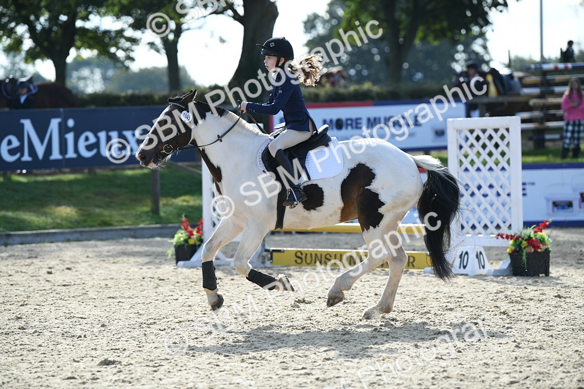SBM_60706 - j25 - Junior Horse 80cm Championship