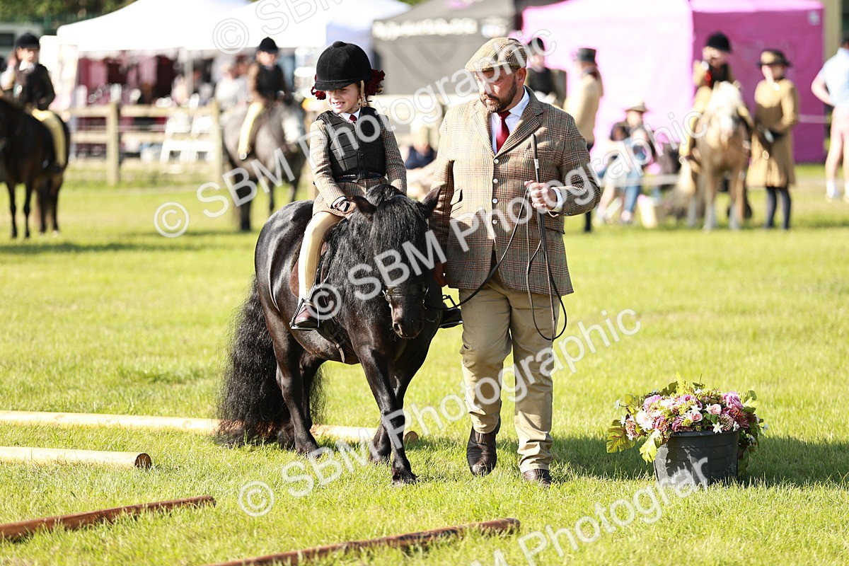 SBM_11167 - Class 106-107 - BSPS LIHS Working Sports Pony
