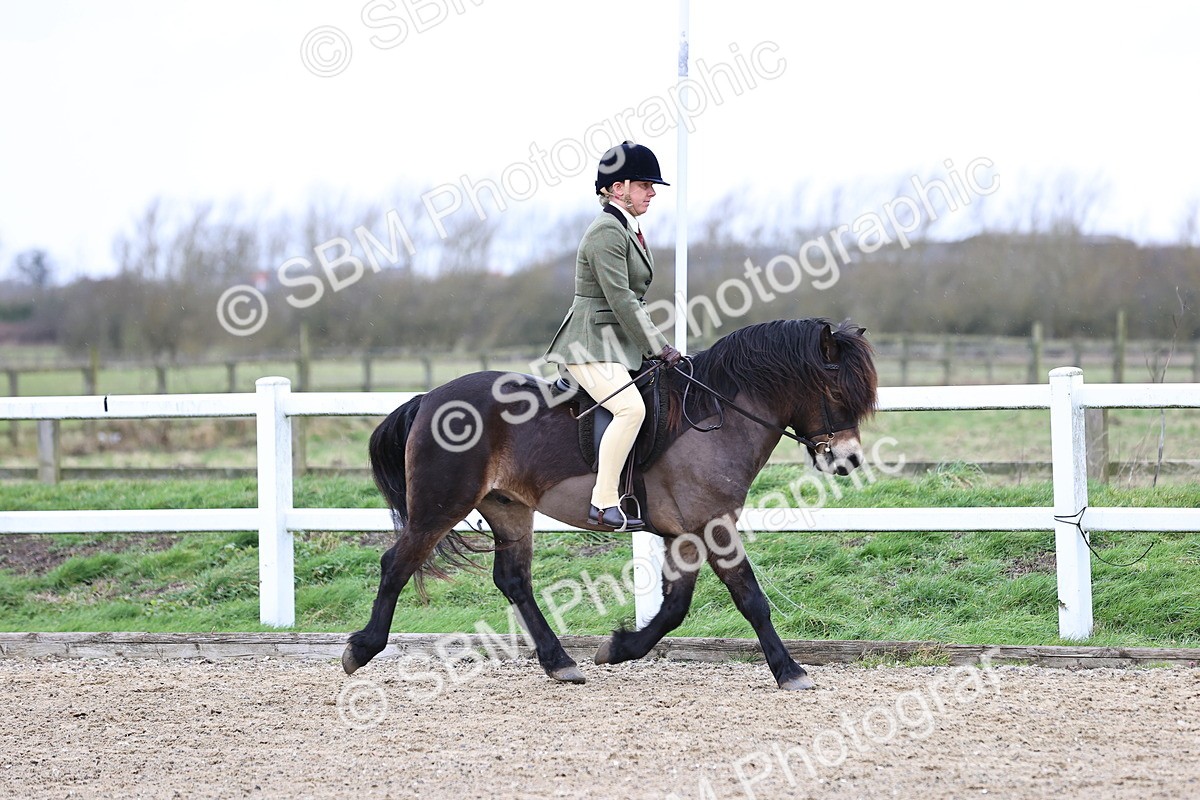 SBM_007408 - Class 31-32 - M&M Confined Novice Small-Large