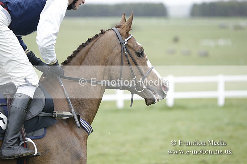 PtP 150320 0274 - New Forest Point-to-Point Larkhill 15/03/20