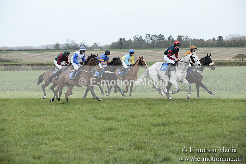 PtP 230319 87 - VWH Hunt Siddington Point-to-Point Racing 23/03/19