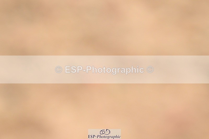 250621-100851-07146 - Cls 23 - Prelim 5 9.40 to End