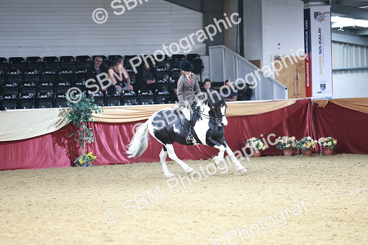 SBM_03659 - Class 6A Area Ridden Pre-Vet
