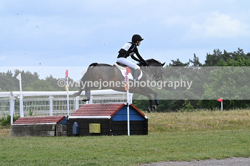 WJ7_7550 - Time 12:54 to 1309