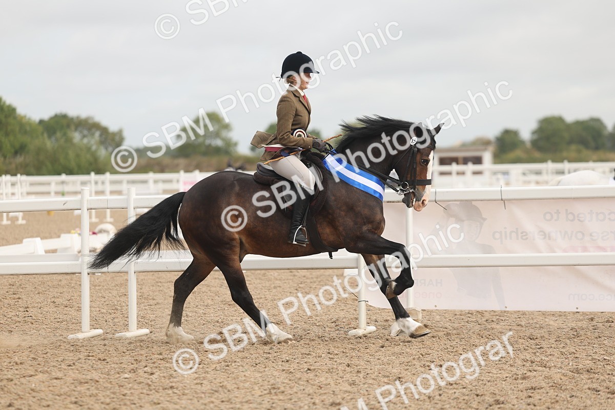 SBM_02036 - Class 14 - Ridden M&M Wildcard