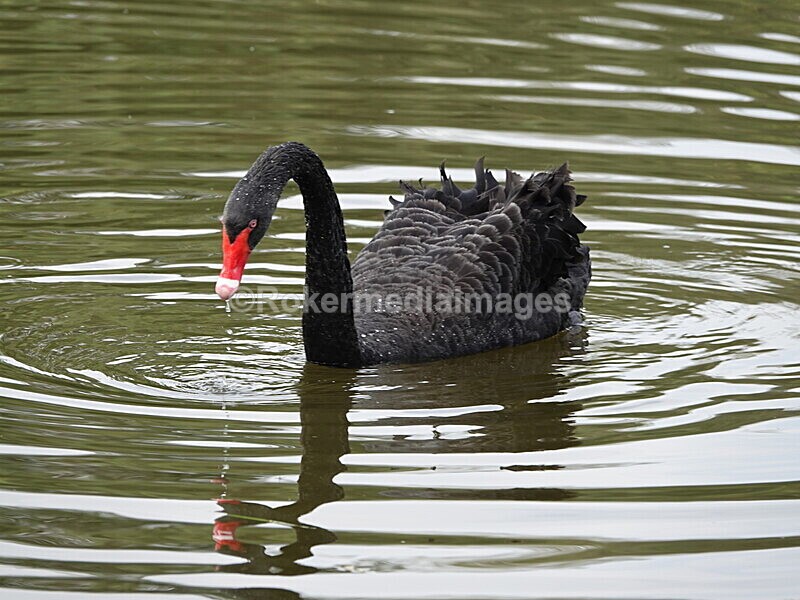 CHINA__0120 - China 2019