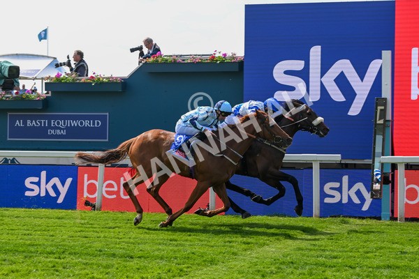 140525-Race 1-Almoshher-1604 - Race 1 2.10pm Sky Bet Race To The Ebor Jorvik Handicap