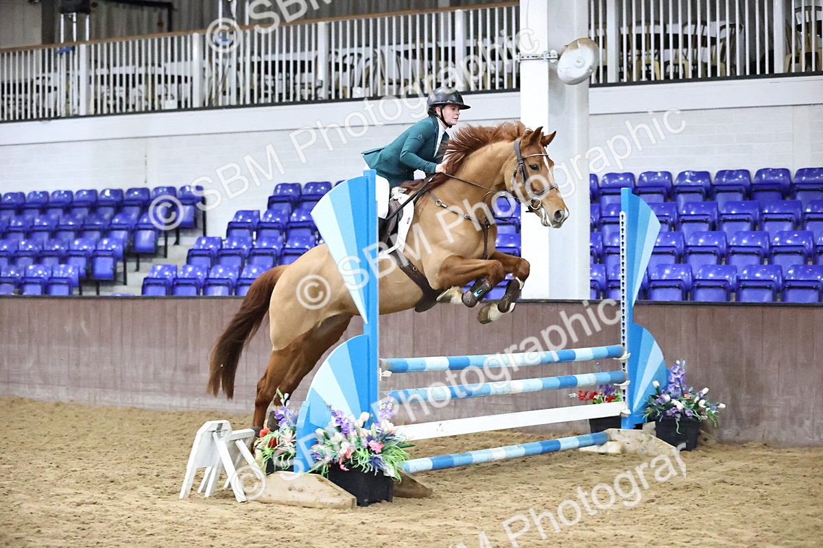 SBM_002129 - Class 8 - Senior British Novice - 90cm