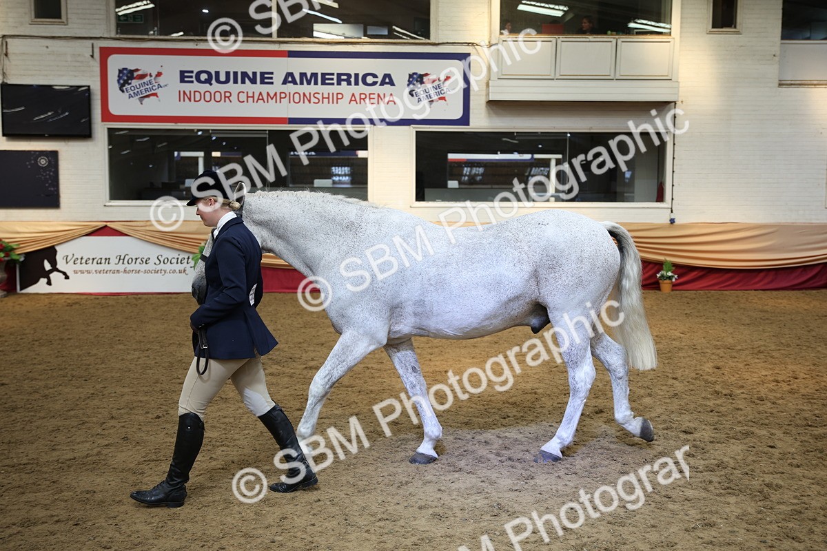 SBM_24295 - Class 905 - Supreme Final - Ridden Veteran