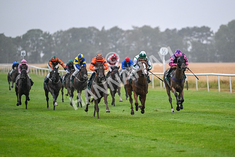 150725-Race 3-The Kamikaze King-6729 - Race 3