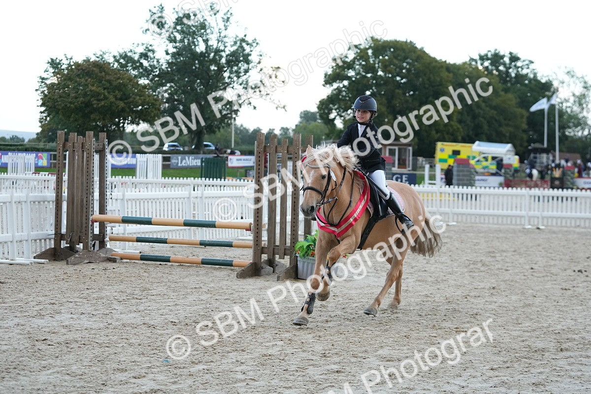 SBM_54262 - Supreme Championship 60cm 65cm