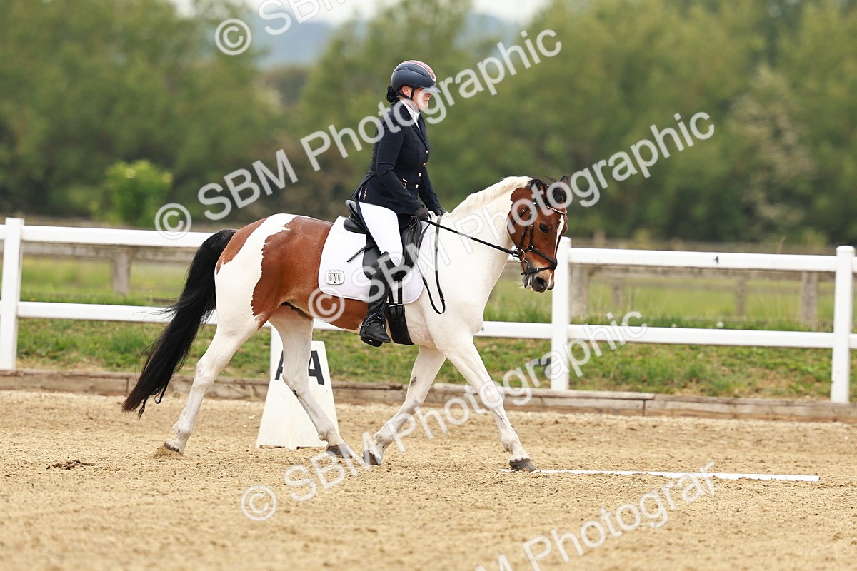 SBM_001082 - Class 6 - Novice 4