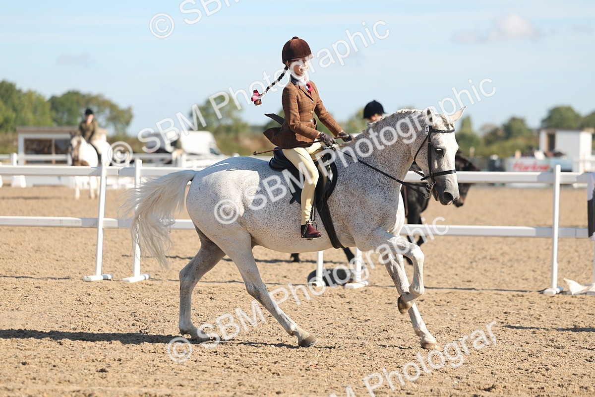SBM_12315 - Class 304 - Ridden part Bred Horse Pony
