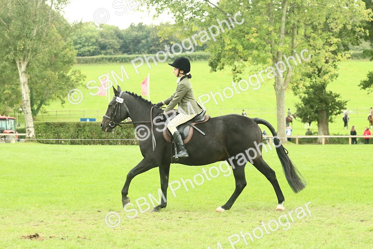SBM_73986 - S 61 - Show Pony & Show Hunter Pony Ridden