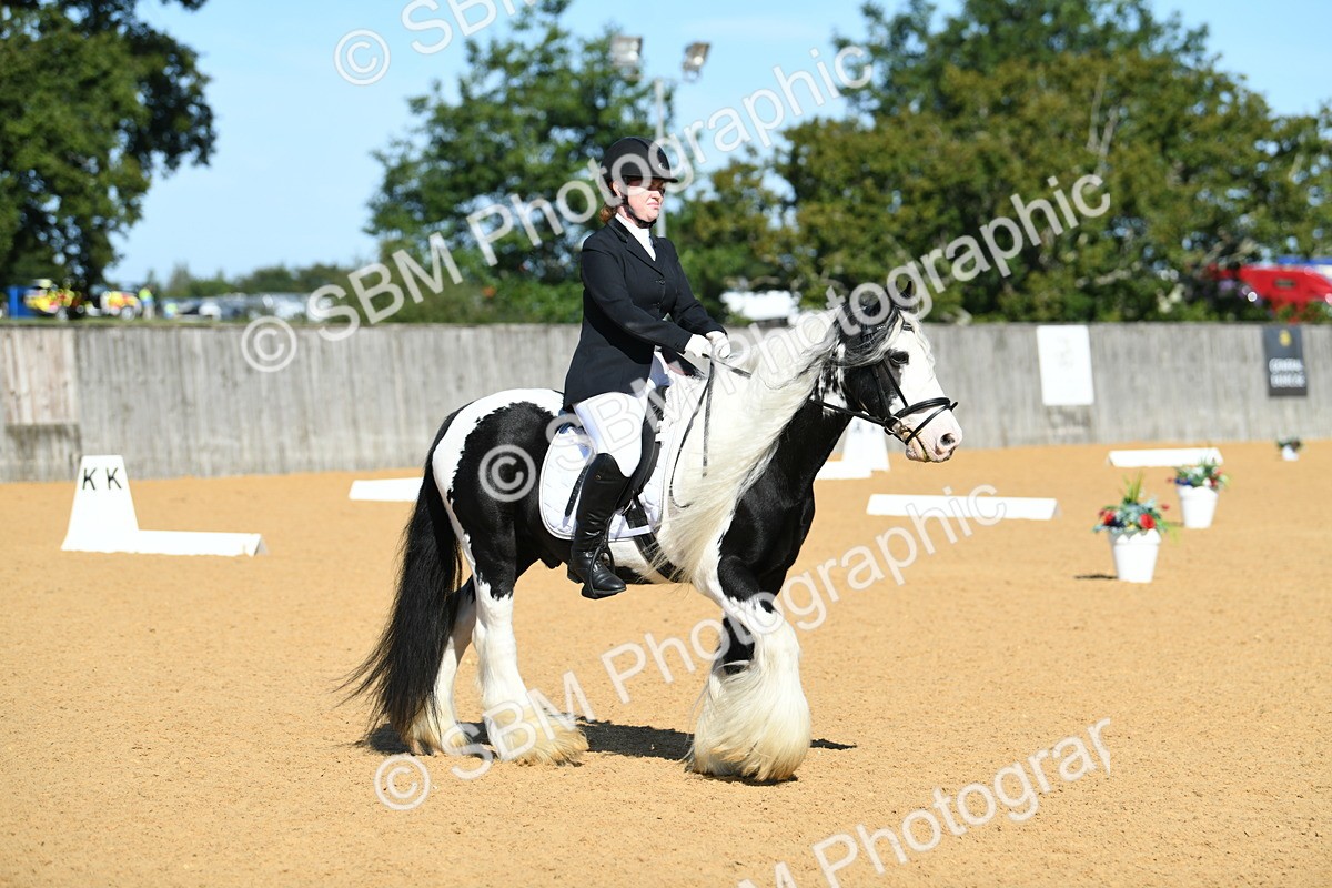 SBM_18085 - D4 - Small Tour Championship - Intro B