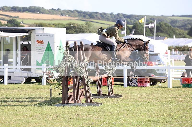 JPP_3155 - Class 21: Working Hunter 80cm