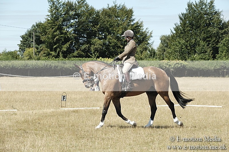_PJP5928 - Dressage Classes BVRC Show 2018