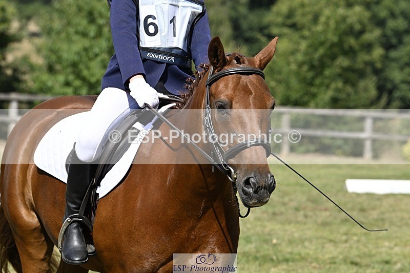 250822A-112006-22207 - DR 11.00 to 12.00