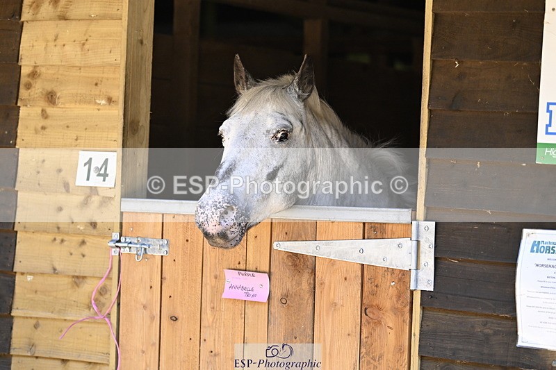 240728B-092339-00007 - Sunday Stable Shots and Fancy Dress