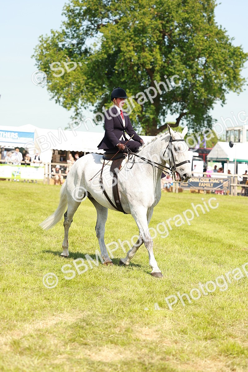 SBM_13373 - Class 70-71 - Side Saddle