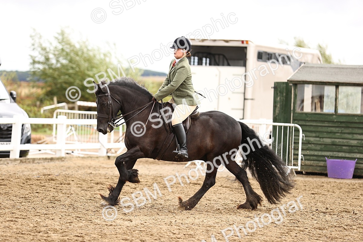 SBM_00598 - Class 53 - Ridden Competition Horse Pony