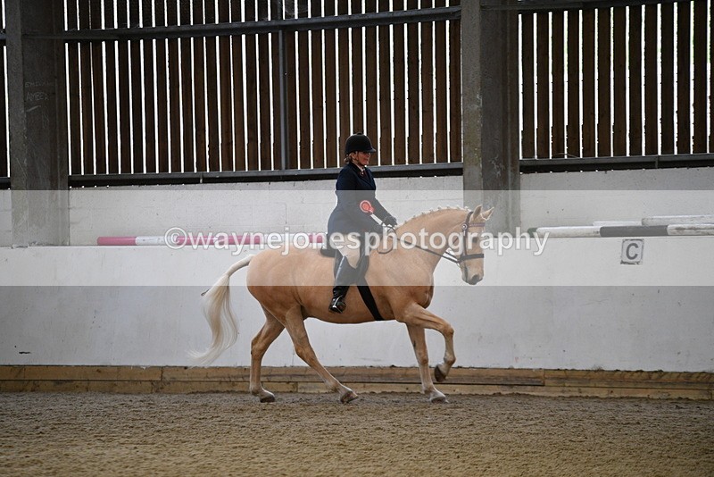 WJ5_6460 - Class 9 Ridden Veteran