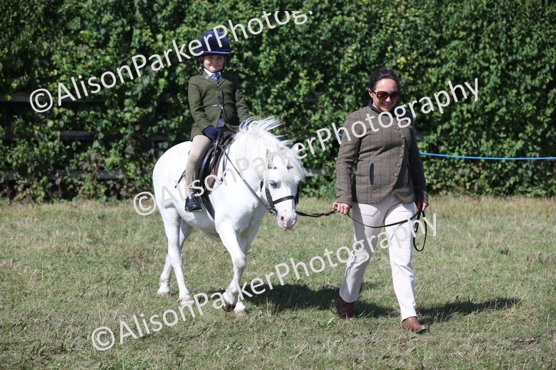 20250831-3152 - Class 24 - Absolute Beginners Pony